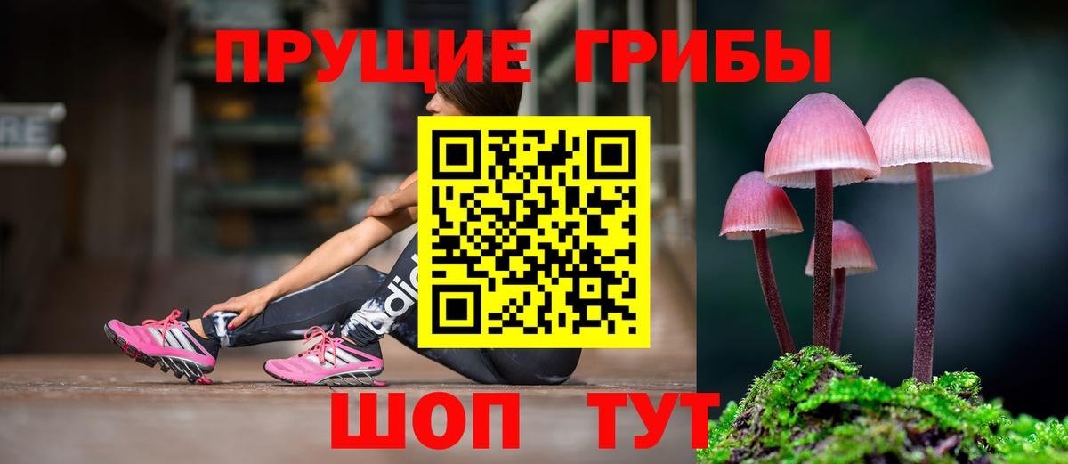 Псилоцибиновые грибы GOLDEN TEACHER  Вход с VPN  Чита 